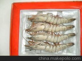 優質鮮活龍蝦與水產批發，廠家直銷保障品質