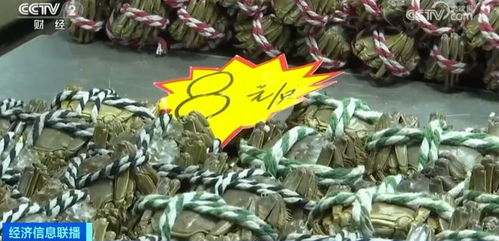 金華正大量上市，價格大跳水！水產(chǎn)品批發(fā)需注意這些問題